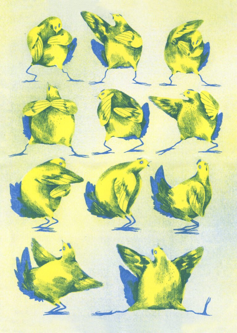 galline 2