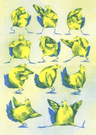 galline 2